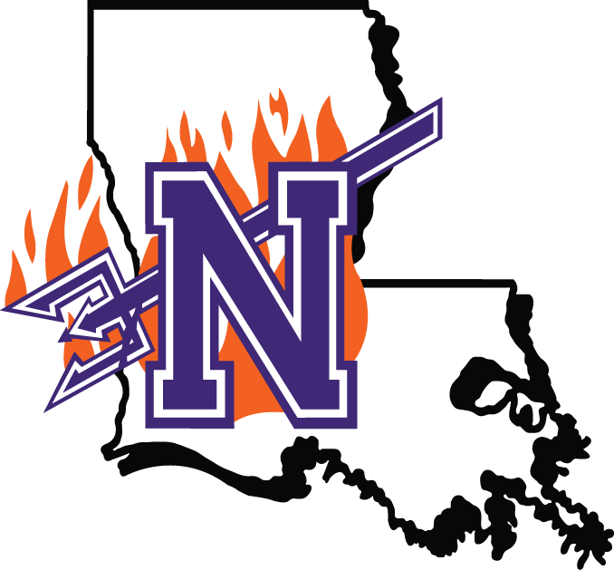 Northwestern State Demons 2000-2007 Primary Logo iron on transfers for fabric